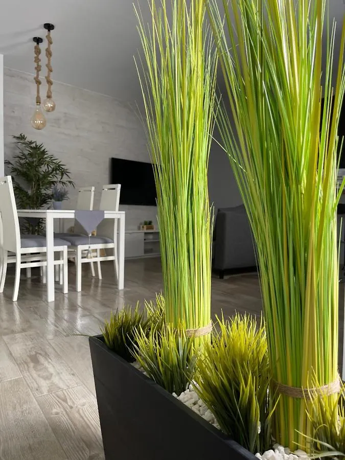 Apartamento Banferra Apartment Jerez de la Frontera